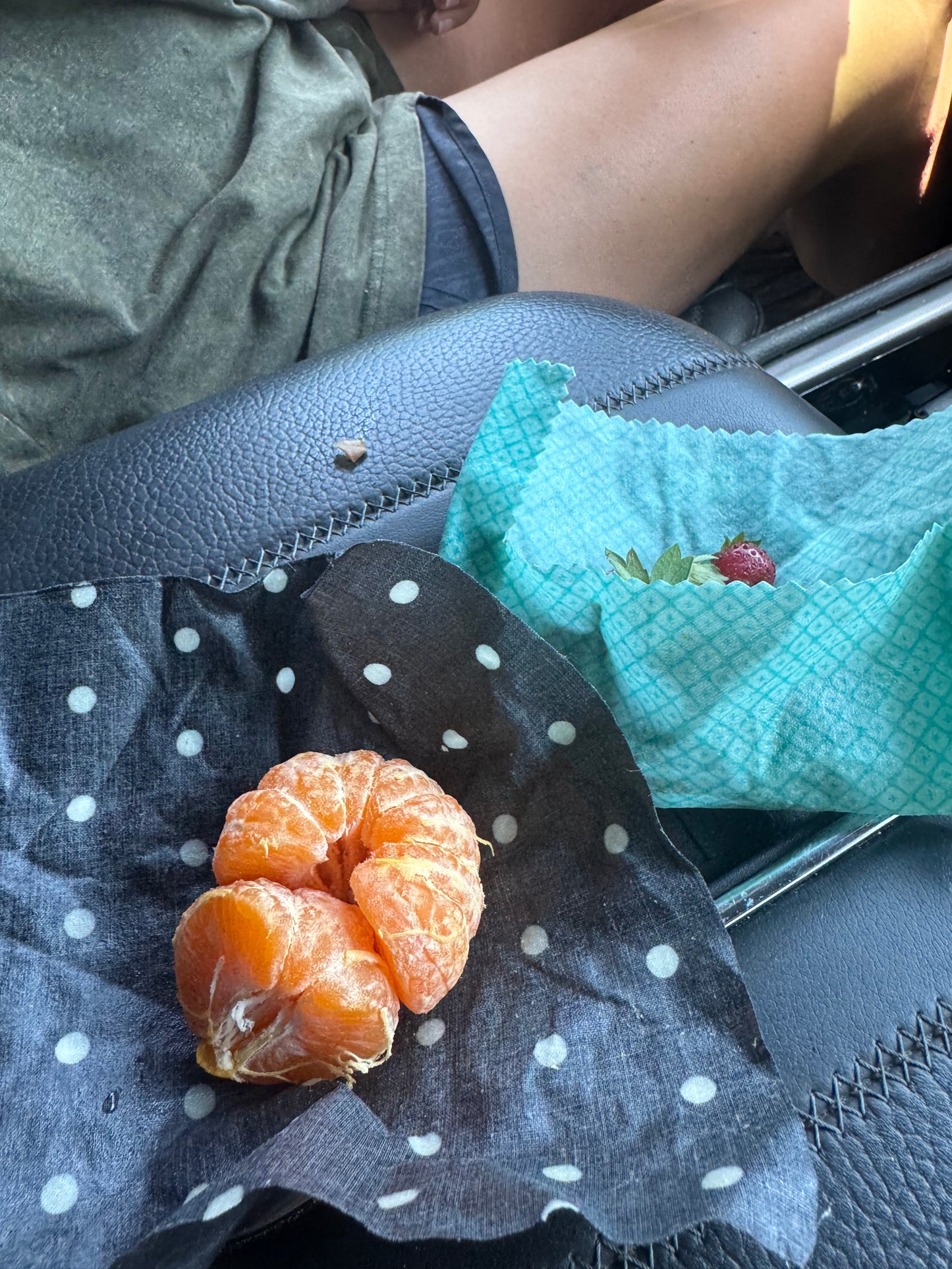 Beeswax Wraps